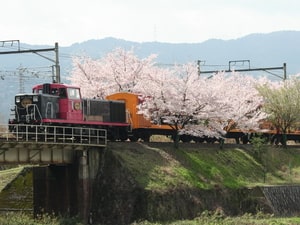 この画像には alt 属性が指定されておらず、ファイル名は 保津9-2.jpg です