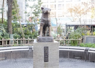 Tokyo Shibuya2