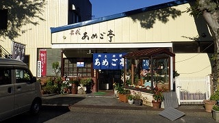Amego-Tei1
