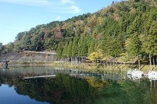 Forest Park 373_2