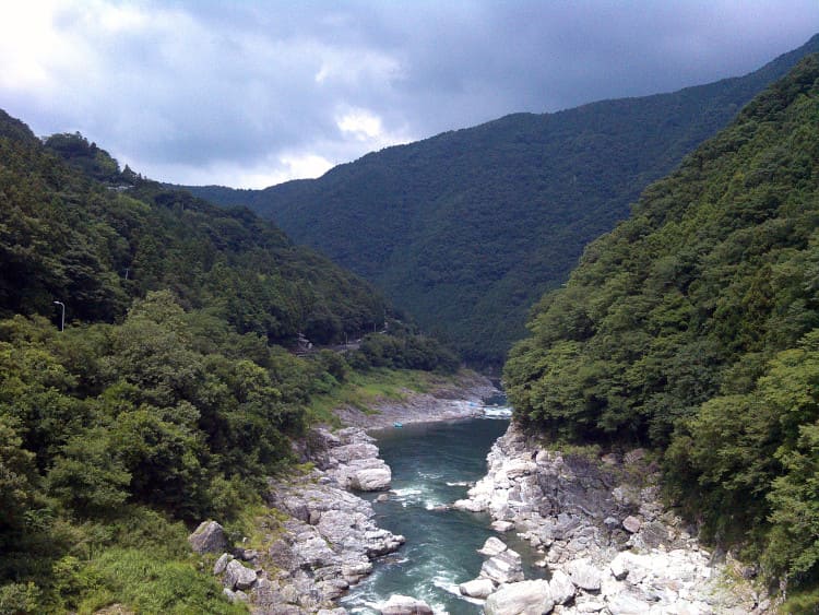 吉野川の自然