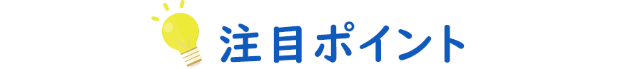 注目ポイント
