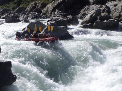 ビックスマイル人事ブログ